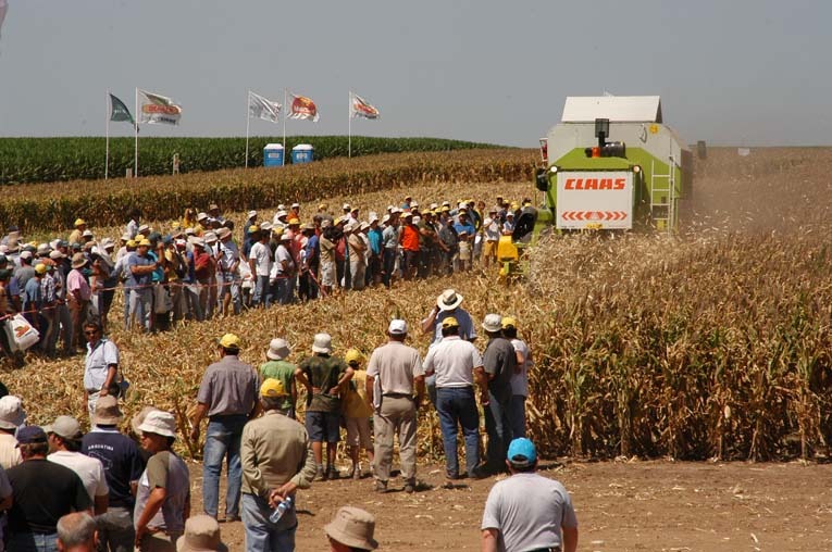 Imagen 12a